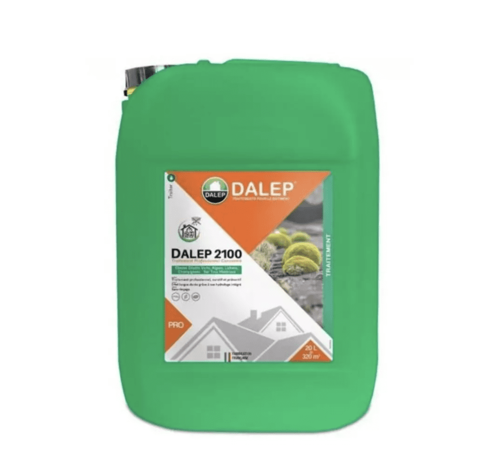 Dalep 2100 Mon Expérience Révélée — free download